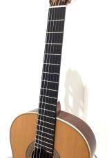 ASTURIAS TSUJI S-1_4