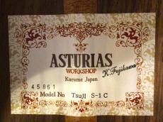 ASTURIAS TSUJI S-1_10