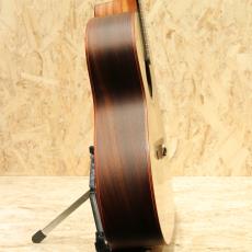 Dowina AMBRD GACE-ds  2020s_4