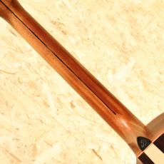 Dowina AMBRD GACE-ds  2020s_7