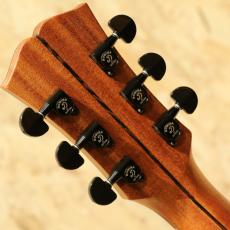 Dowina AMBRD GACE-ds  2020s_9