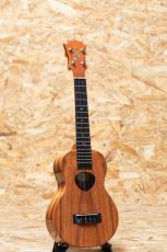 KoAloha KCM-00 Concert 2020_3