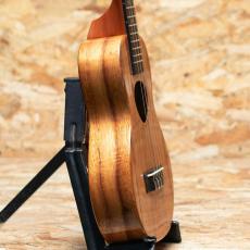 KoAloha KCM-00 Concert 2020_4