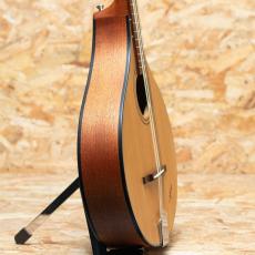 K.Yairi BOY Irish Bouzouki 2014_4