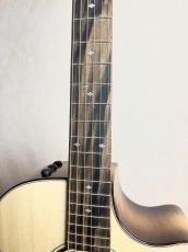 Taylor 【試奏動画あり】Custom GA #13031 UrbanAsh【送料当社負担・最大48回分割無金利】_6