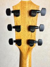 Taylor 【試奏動画あり】Custom GA #13031 UrbanAsh【送料当社負担・最大48回分割無金利】_10