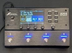 Fractal Audio Systems AM4 初回入荷分  _2