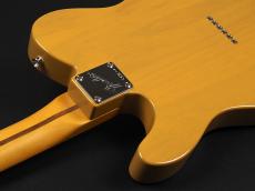 Fender American Professional Classic Hotshot Telecaster Rosewood Fingerboard ~Butterscotch Blonde~_11