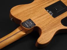 Fender Acoustasonic Player Telecaster Rosewood Fingerboard ~Brushed Black~_11