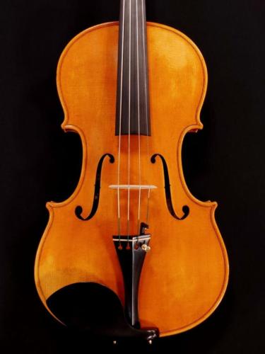 その他 【ビオラ】 Andrea Schudtz W/S 16" 【池袋店】