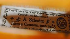 その他 【ビオラ】 Andrea Schudtz W/S 16" 【池袋店】_7