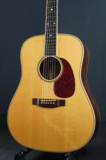 Roy Noble HD-100_2