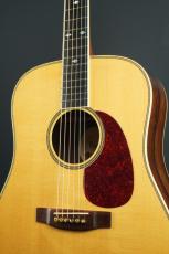 Roy Noble HD-100_3