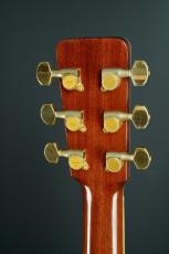 Roy Noble HD-100_8