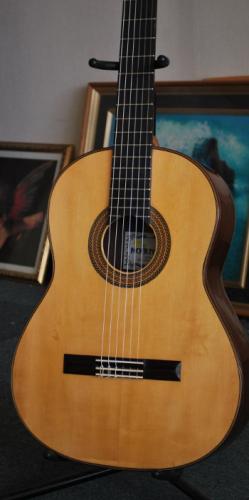 工藤信幸 Nobuyuki Kudo　オール単板仕様