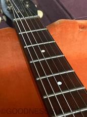 Danelectro Model 3011 1963_11