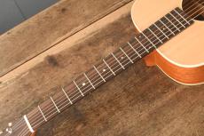 aNueNue Singer P01 _4
