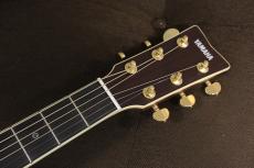YAMAHA LL16 ARE / BS_5