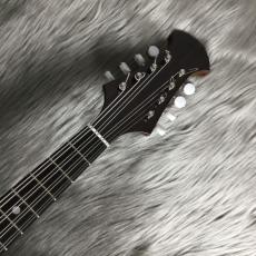 宮野厚志 MD-1【宮野厚志】【マンドラ】_3