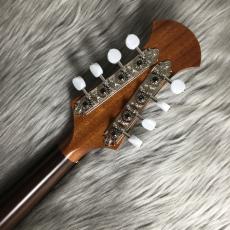 宮野厚志 MD-1【宮野厚志】【マンドラ】_7