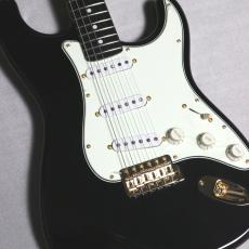 Vanzandt(ヴァンザント)、ストラトキャスター・タイプ、販売中の検索