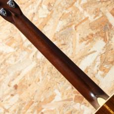 Martin D-28 Jacaranda 1963_7