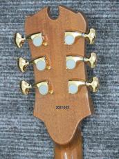 Guitar Craft Yoshikawa AT35CW-Rose_10