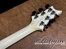 Paul Reed Smith [PRS] Private Stock #8638 Special Semi Hollow 2021 Aqua Violet Glow /White Back 3.24kg "Hand Select Wood"_9