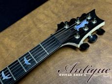 Paul Reed Smith [PRS] Private Stock #8638 Special Semi Hollow 2021 Aqua Violet Glow /White Back 3.24kg "Hand Select Wood"_10