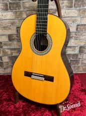 Juan Hernandez [ホアン・エルナンデス] Model:Profesor Flamenca Negra with P.U._3