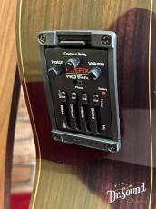 Juan Hernandez [ホアン・エルナンデス] Model:Profesor Flamenca Negra with P.U._8