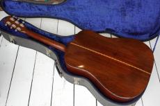 Martin D-21_3