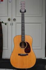 Martin D-21_6