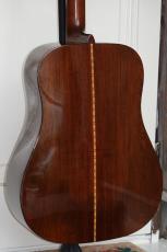 Martin D-21_9