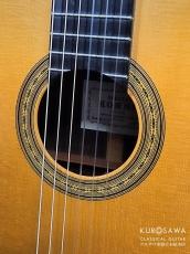 桜井 河野 Sakurai Kohno 2012年製 マエストロ Maestro【日本総本店2F 在庫品】_3