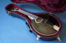 Gibson A-4_8