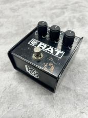 Pro Co The Rat "BlackFace"_3