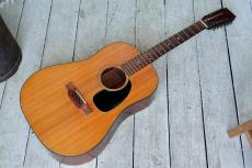Martin D12-20