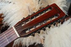 Martin D12-20_5