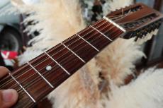 Martin D12-20_6