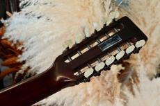 Martin D12-20_7