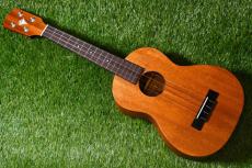 K.Yairi UT-M1 Tenor_2