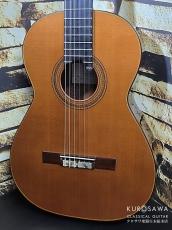 Jesus Bellido [へスス・べジード] ヘスス・ベジード 2025年製 ALMA AUREA C 杉 20フレット 【日本総本店2F 在庫品】