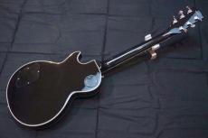 Edwards E-LP-CTM(JS)_2