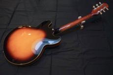 Epiphone ES-335-IG_2