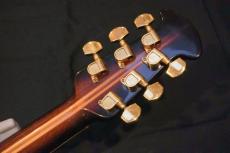 Ovation Legend 1617_8