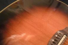 Ovation Legend 1617_10