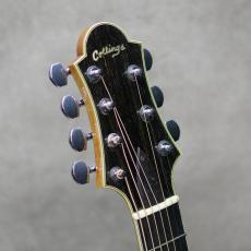 Collings 18 inch 7strings Arch Top_9