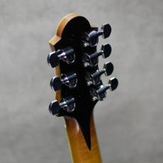 Collings 18 inch 7strings Arch Top_10