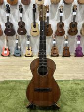 本郷道太 Michita Hongoh Concert Ukulele　Mahogany